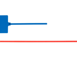 Plastic Evidence Tags - Red 6" Tags