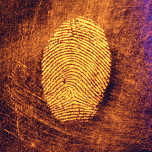 Atomic Fluorescent Magnetic Latent Print Powder - Black/Green (1oz)